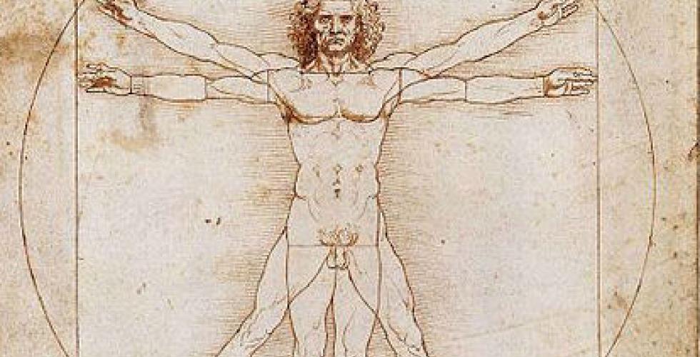 da Vinci Vitruvian man