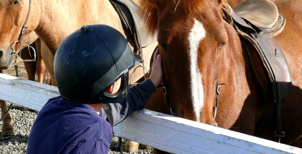 image of boy with horse