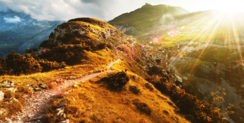 winding path