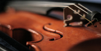 violin