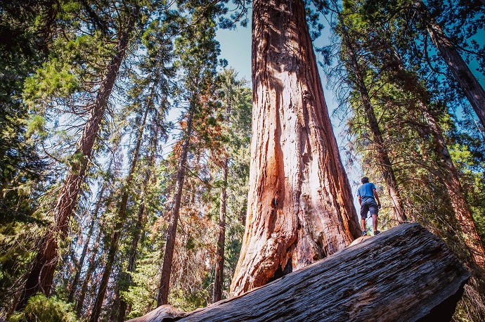 The Liminal Phase: How To Successfully Navigate The Most