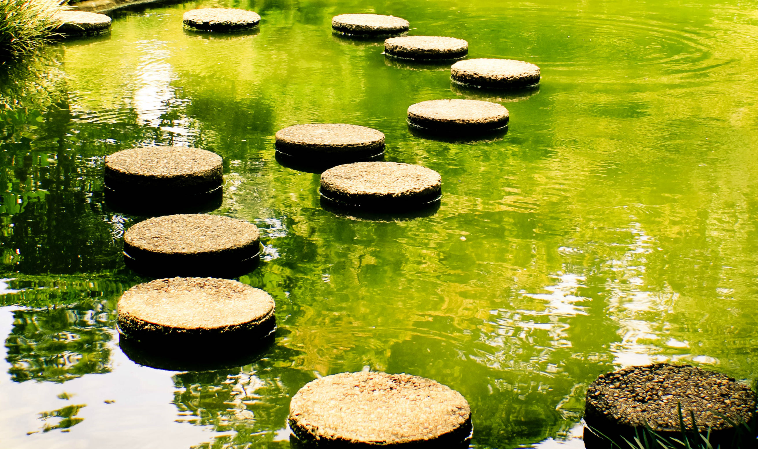 How A Stepping-stone Role Can Help You Make Your Career Change |  Careershifters