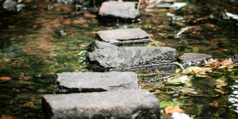 Image of stepping stones over water