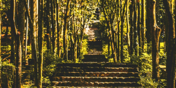 Image of staircase