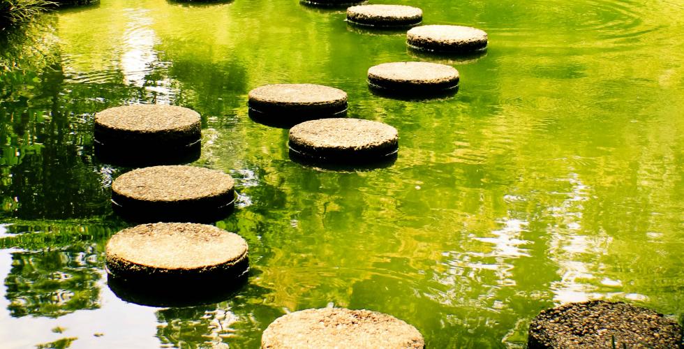 Stepping stones