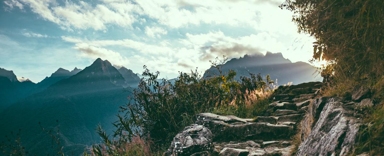 The 'three steps' approach