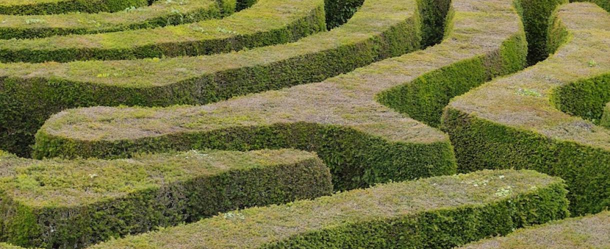 Maze