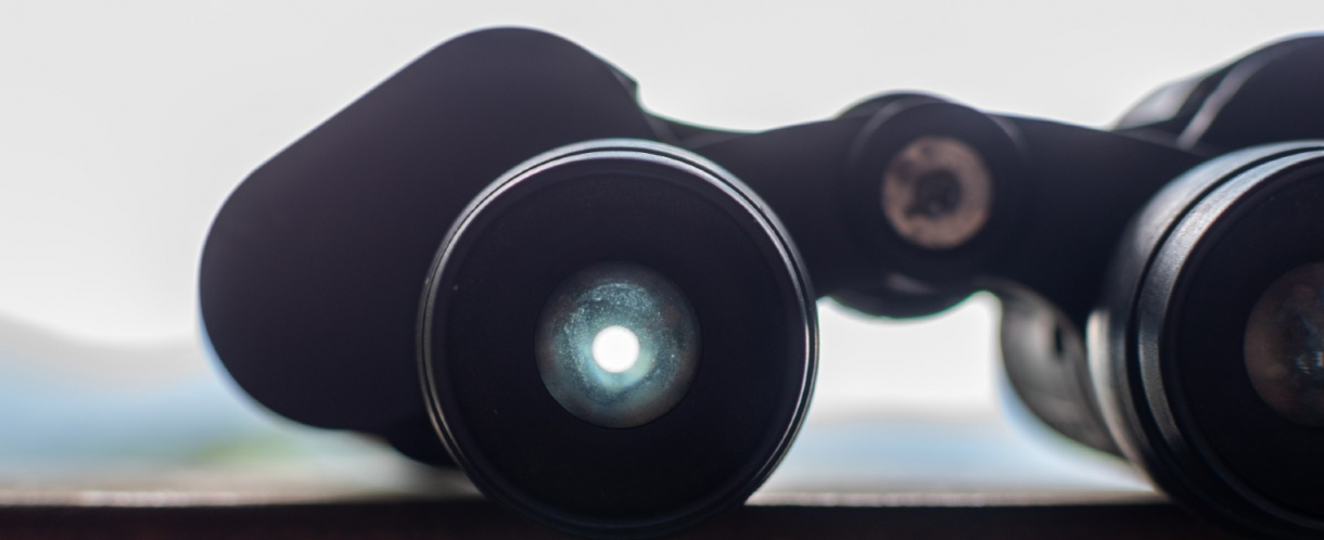 Image of a pair of black binoculars