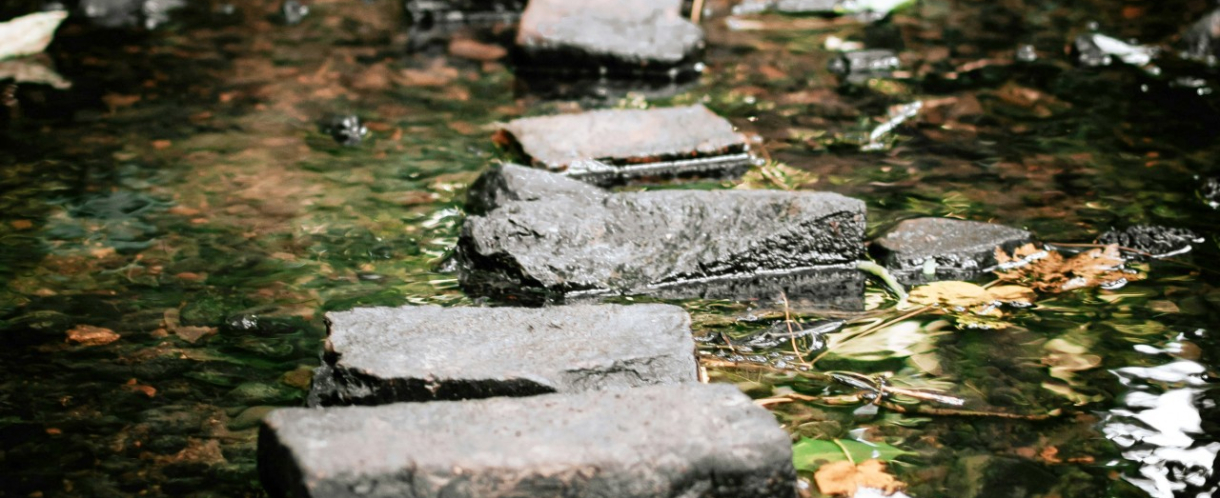 Image of stepping stones over water